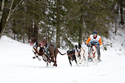 p-f.ch_120122_1132_1805_1D