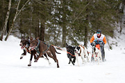 Kandersteg