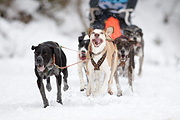 p-f.ch_120122_1134_1822_1D