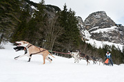 Kandersteg