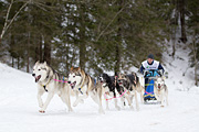 p-f.ch_120122_1136_1839_1D