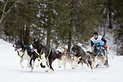 p-f.ch_120122_1138_1857_1D