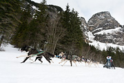 p-f.ch_120122_1139_0348_5D