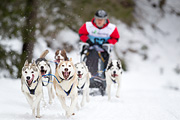 p-f.ch_120122_1140_1868_1D