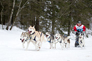 p-f.ch_120122_1140_1873_1D