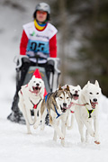 p-f.ch_120122_1241_2182_1D