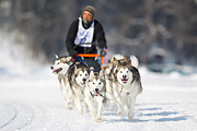 p-f.ch_120211_1133_7020_1D
