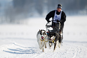 p-f.ch_120211_1134_7033_1D