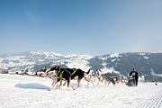 p-f.ch_120211_1135_0739_5D