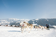 p-f.ch_120211_1136_0740_5D