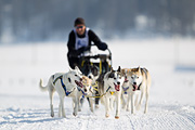 p-f.ch_120211_1136_7042_1D