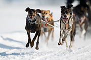 p-f.ch_120211_1136_7053_1D