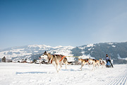p-f.ch_120211_1140_0742_5D