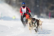 p-f.ch_120211_1142_7075_1D