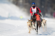 p-f.ch_120211_1142_7079_1D