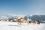 p-f.ch_120211_1143_0745_5D