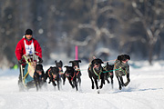 p-f.ch_120211_1144_7090_1D