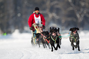 p-f.ch_120211_1144_7098_1D