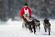 p-f.ch_120211_1144_7100_1D