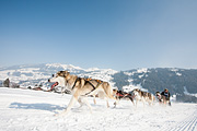 p-f.ch_120211_1145_0747_5D