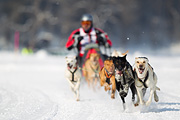 p-f.ch_120211_1146_7114_1D
