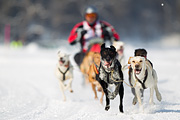 p-f.ch_120211_1146_7117_1D