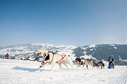p-f.ch_120211_1147_0749_5D