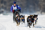 p-f.ch_120211_1148_7135_1D