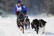p-f.ch_120211_1148_7137_1D