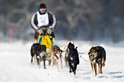 p-f.ch_120211_1150_7155_1D