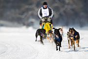 p-f.ch_120211_1150_7158_1D