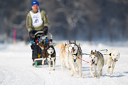 p-f.ch_120211_1155_7181_1D