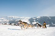 p-f.ch_120211_1156_0751_5D