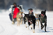 p-f.ch_120211_1156_7200_1D