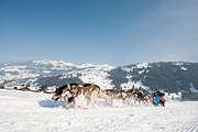 p-f.ch_120211_1201_0753_5D