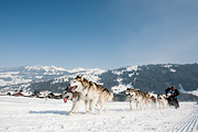 p-f.ch_120211_1205_0754_5D