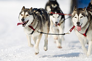 p-f.ch_120211_1205_7246_1D