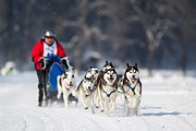 p-f.ch_120211_1206_7255_1D