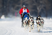 p-f.ch_120211_1207_7263_1D