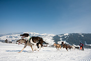 p-f.ch_120211_1209_0755_5D