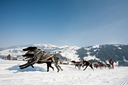 p-f.ch_120211_1213_0756_5D