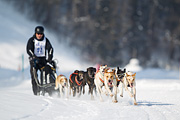 p-f.ch_120211_1213_7276_1D