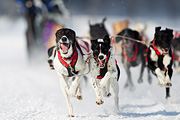 p-f.ch_120211_1214_7293_1D