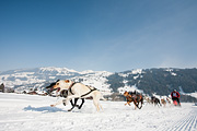 p-f.ch_120211_1216_0757_5D