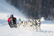 p-f.ch_120211_1216_7302_1D
