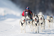 p-f.ch_120211_1216_7307_1D