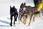 p-f.ch_120211_1224_7352_1D