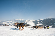 p-f.ch_120211_1225_0760_5D