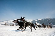 p-f.ch_120211_1231_0761_5D