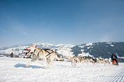 p-f.ch_120211_1234_0762_5D